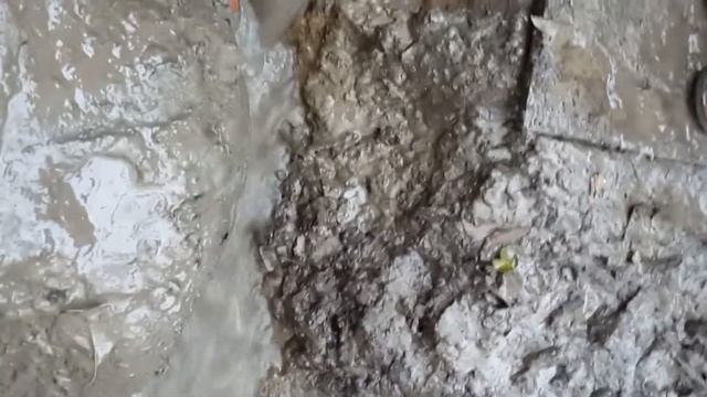 сильный самоизлив (скважина на воду)