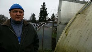 Пленка или поликарбонат.