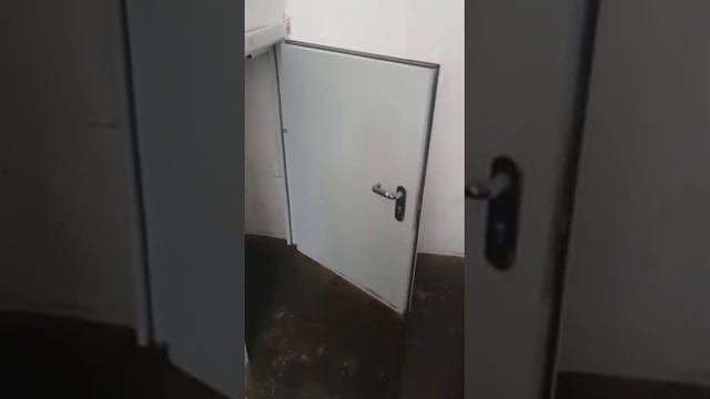 Подвал, вода, Воронеж смотреть онлайн