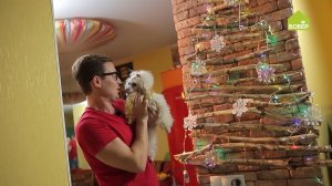 Настенная ёлка из палок