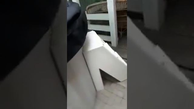 Купель уличная 2м Плазар пластиковая с обшивкой лиственницей и подогревом печью 40 кВт нерж смотреть онлайн