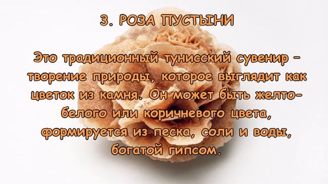 Что привезти из Туниса? смотреть онлайн
