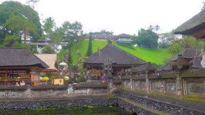 Бали влог | Сделай ЭТО Прилетев на Бали ! Магазин Музыкальных инструментов в Убуде