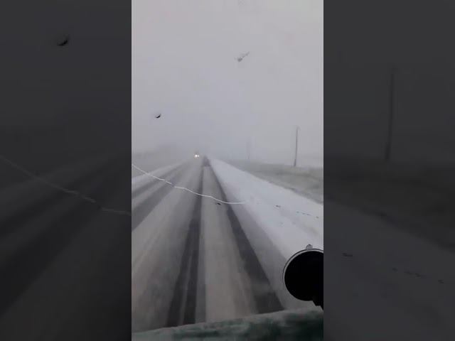 Первый снегопад смотреть онлайн