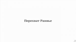 3.7 Параметры нервной системы. Перехват Ранвье