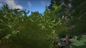 Наталья Анохина