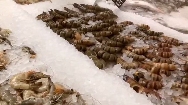 Дубай. Продолжение путешествия по богатой жизни. Достопримечательности Дубая