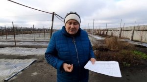 Виноград Виктора Елисеева 2021 ноябрь