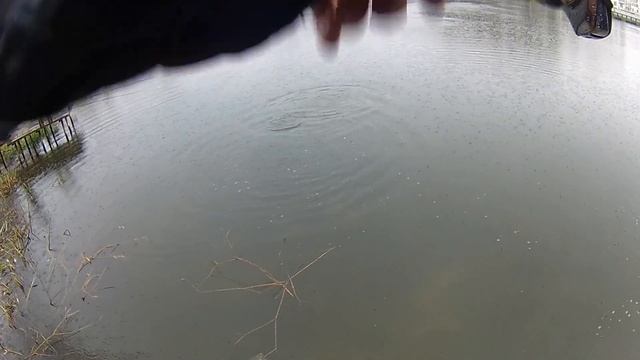 Ловля ФОРЕЛИ РК Юрлово Рыбалка на спиннинг смотреть онлайн