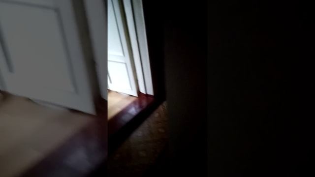 обзорчик чеееееек на дом. смотреть онлайн