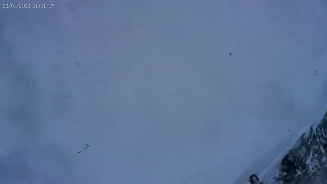 Саня ты в порядке? И встреча с елкой смотреть онлайн