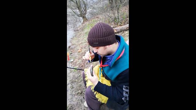 Ловля крупной плотвы фидером в апреле:Открытие сезона 2019 смотреть онлайн