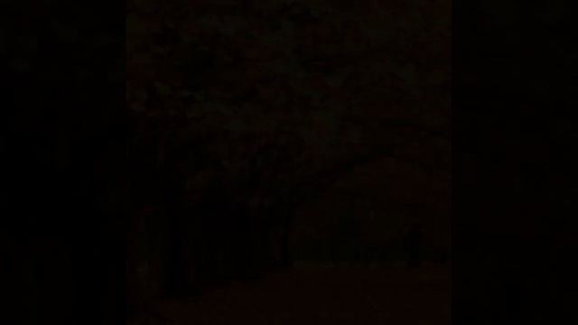 Посвящается ко дню рождения А. С. Пушкина. Подготовила Шерматова М. Л.- смотреть онлайн