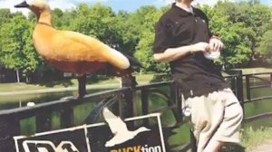 10. Железобетон - Митя Северный  (DJ Nik One)