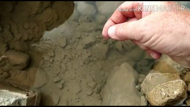 Конский волос смотреть онлайн