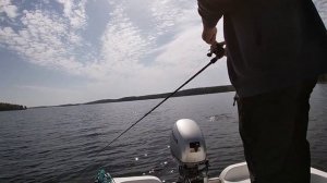 Проводка джерков, сравнение, много трофейной щуки  - рыбалка в Финляндии