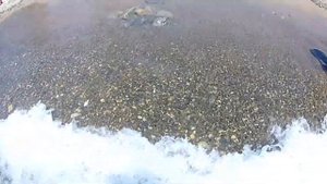 Криница 2021 год. Море. Позитивный обзор