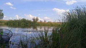 Рыбалка, Тамбов. Такого карася ловить одно удовольствие.mp4