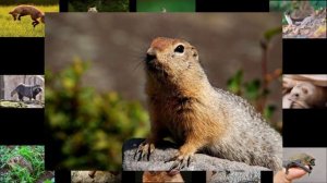 Опукский заповедник