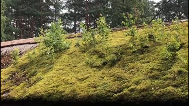 ЛАТВИЙСКИЙ ЭТНОГРАФИЧЕСКИЙ МУЗЕЙ смотреть онлайн