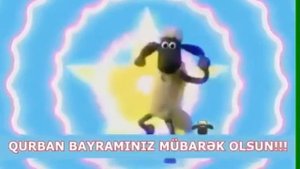 Курбан байрам , баранчик шон...