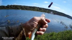 Рыбалка на "отводной поводок" с берега. Ока, Таруса.