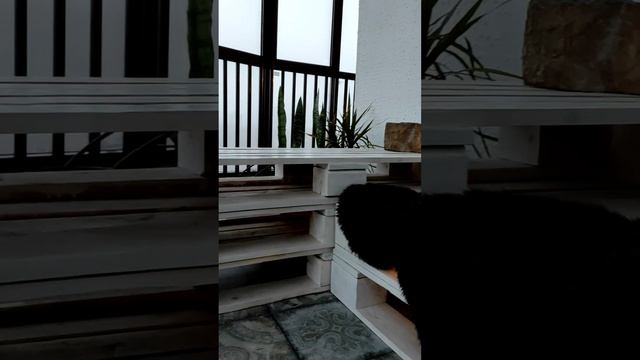 обустройство балкона своими руками, бюджетный вариант