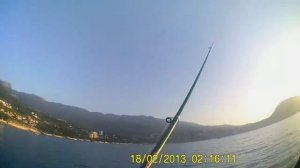 ГУРЗУФ | РЫБАЛКА С ЛОДКИ | БЕШЕНЫЙ КЛЁВ СТАВРИДЫ | МОРСКОЙ ДРАКОН