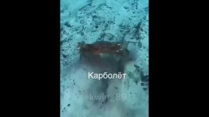 ТИК ТОК | МЕМЫ | (ЧАСТЬ 22)