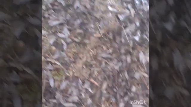 #дача ##жизнь #настроение #родник Дачные мотивы.