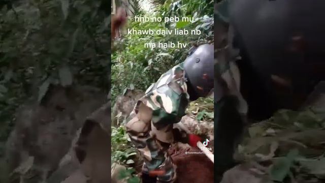 что будет если разрушить гнездо диких шершней смотреть онлайн