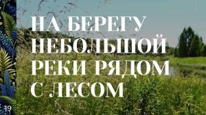 19 / Минутка / На берегу реки