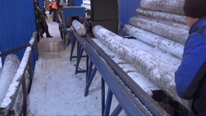 Бревнопильный станок СПР-320К-М  Видео работы станка зимой