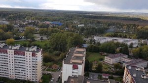 Где в Питере жильё дешевле? | Обзор посёлка Парголово
