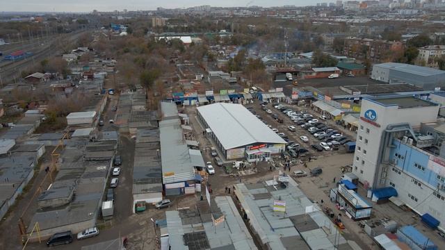 "Птичий" рынок в Самаре смотреть онлайн