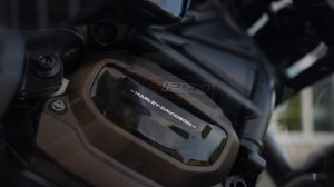 Harley-Davidson Kiel SPORTSTER S RH1250S Umbau