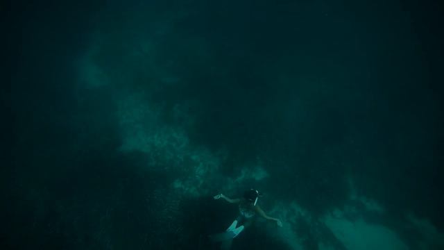 Happy Mare absolut freediver смотреть онлайн