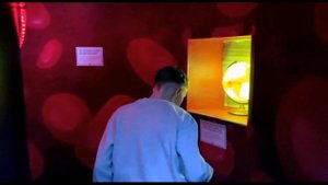 Музей "Внутри человека" г. Москва