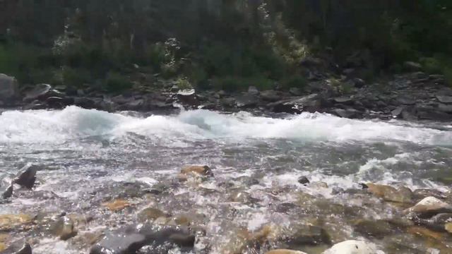 Мои тренировки на р.Уба. Клуб,,Меридиан,, восточный Казахстан. смотреть онлайн