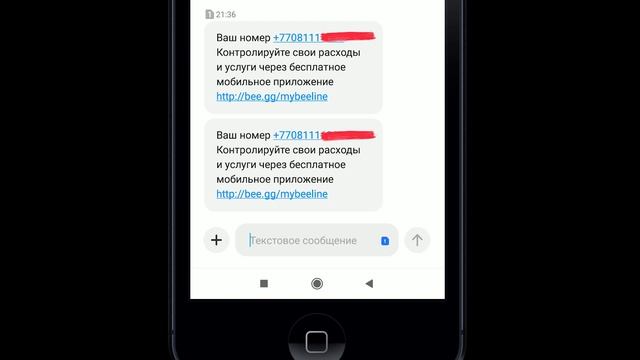 Как узнать свой номер билайн