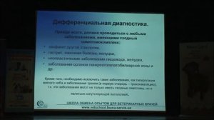Павел Пульняшенко: лечение хиатальных грыж у мелких домашних животных. ч.1