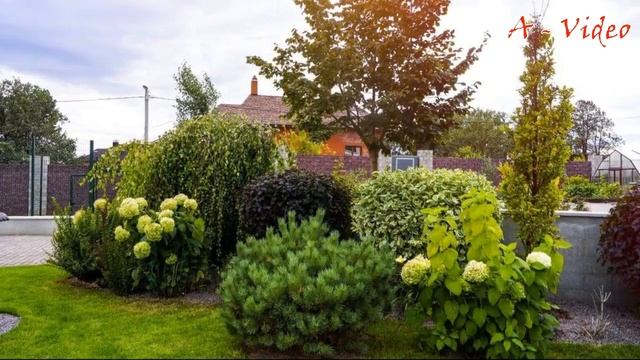 ?Прекрасные примеры красивых садов / Examples of garden improvement