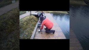 Ропша Рыбные пруды 12 ноября.