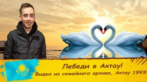 Казахстан / Лебеди в Актау / Семейный архив / Актау 1993 - 2022