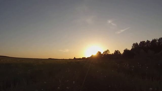 На опушке леса около Ивановское смотреть онлайн