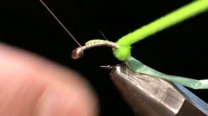 нимфа от павла горохова