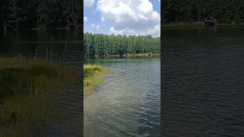 База отдыха "Боровое" Тюменский район