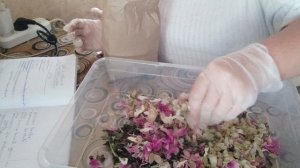 Чай успокаивающий. "Спокойной ночи".