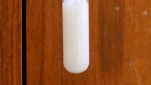 Амфотерные свойства оксидов и гидроксидов металлов на примере взаимодействия цинка с NaOH