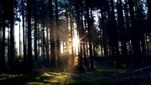 Music for sleeps 1 Музыка для сна 1